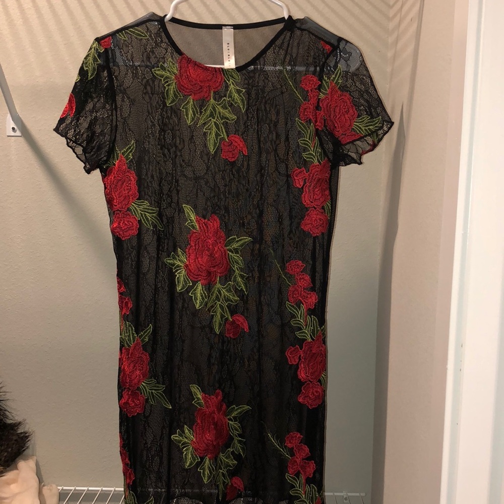 Sheer Shirt Dress